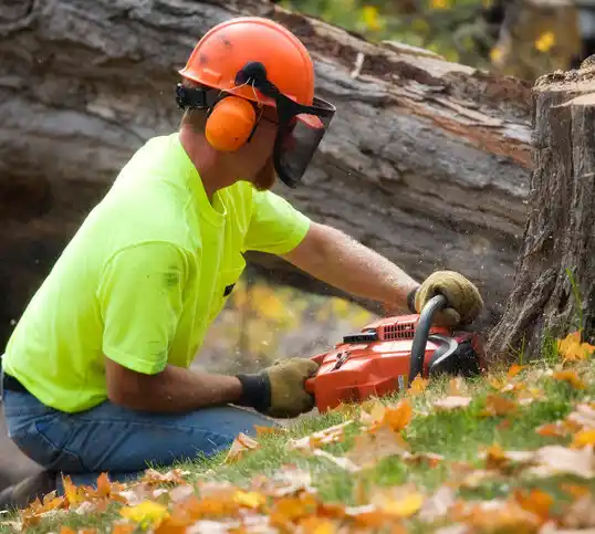 tree services North Bellmore